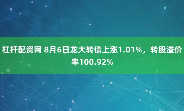 杠杆配资网 8月6日龙大转债上涨1.01%，转股溢价率100.92%