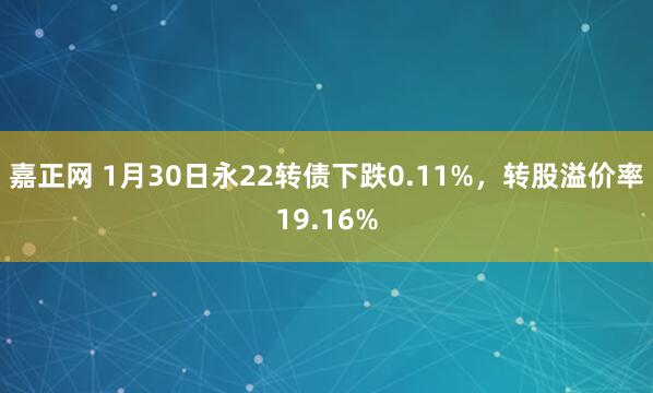 嘉正网 1月30日永22转债下跌0.11%，转股溢价率19.16%