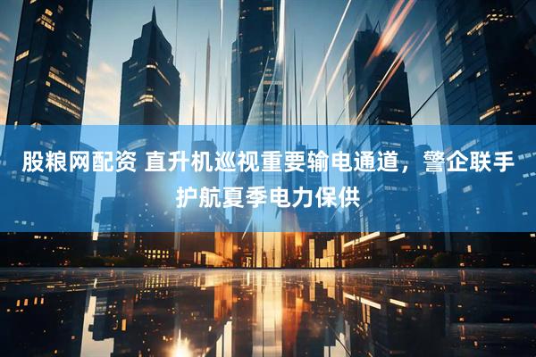 股粮网配资 直升机巡视重要输电通道，警企联手护航夏季电力保供